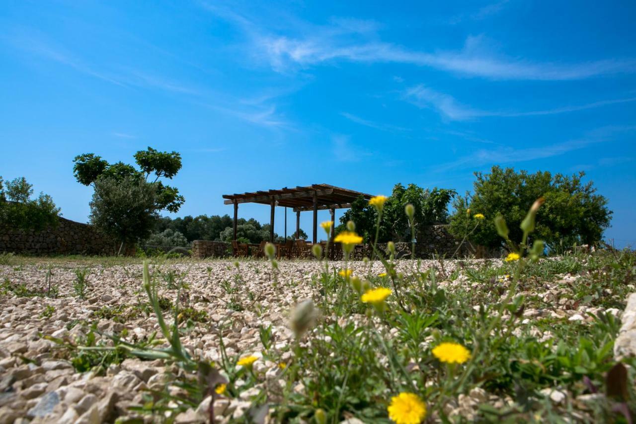 Antica Masseria Ficazzana - Tenuta Marina Di Pescoluse Exteriör bild